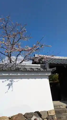 隨心院（随心院）(京都府)