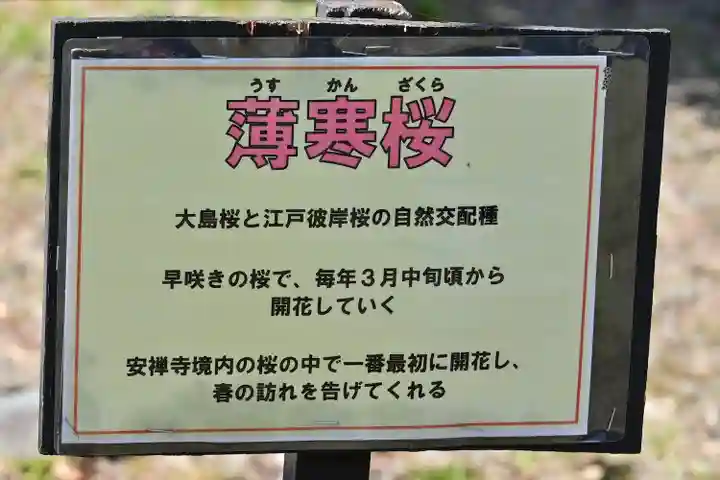 安禅寺(新潟県)