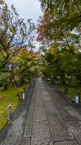 禅林寺（永観堂）(京都府)