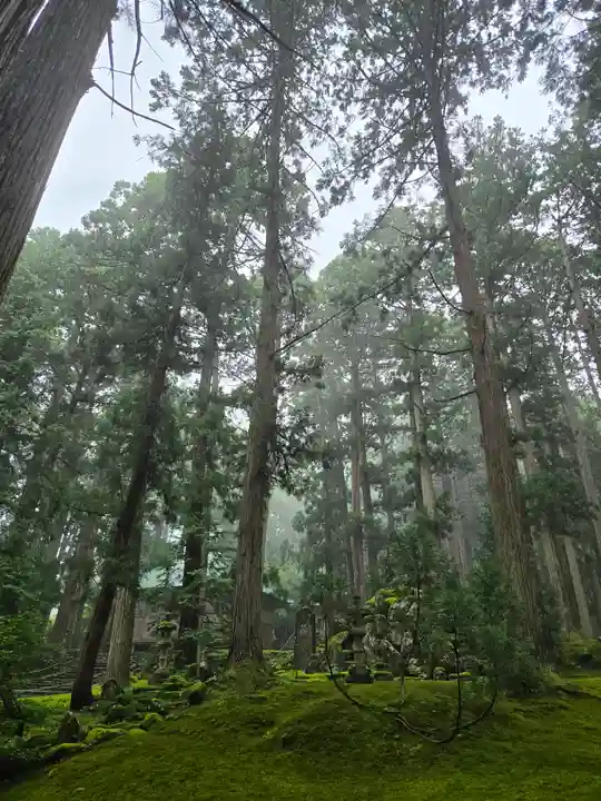 平泉寺白山神社(福井県)