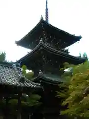 真正極楽寺（真如堂）の建物その他