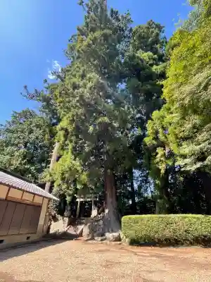 湯立神社(奈良県)