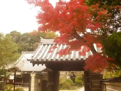 浄光明寺の山門