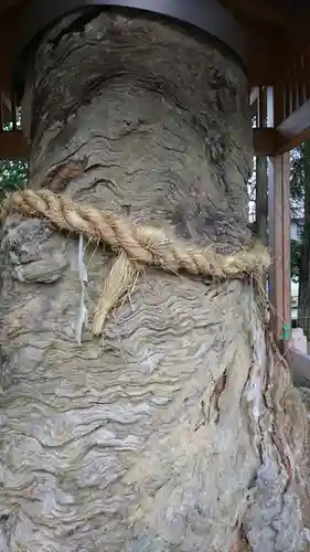 飛驒一宮水無神社の自然