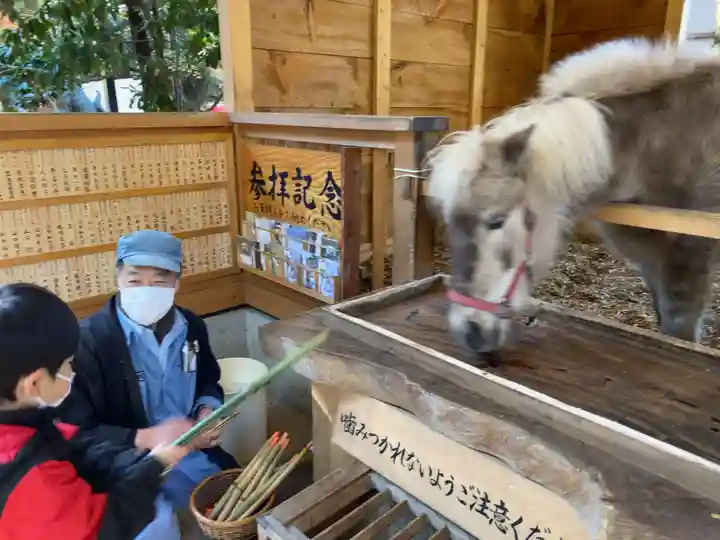 平塚八幡宮(神奈川県)