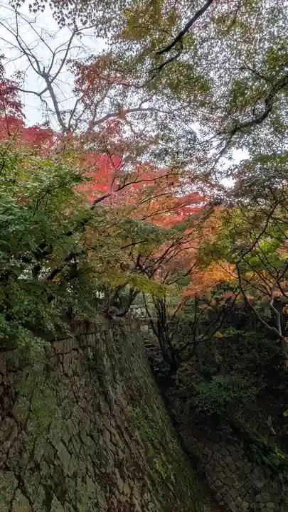 観音寺(山崎聖天)(京都府)