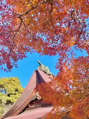 蚊里田八幡宮(長野県)