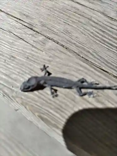 神明大神宮(神奈川県)