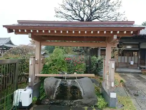 妙蓮寺の手水舎