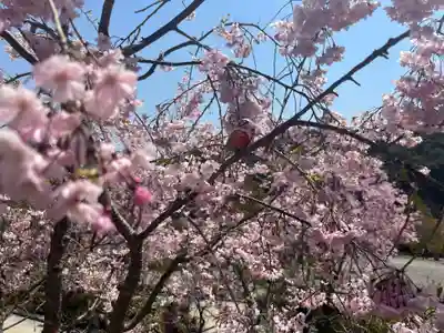勝尾寺(大阪府)