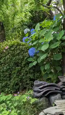 後白河院御聖蹟　法住寺の自然