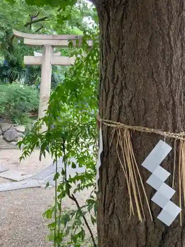 安居神社のその他建物