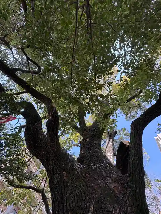 若一神社(京都府)