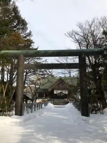 信濃神社の鳥居