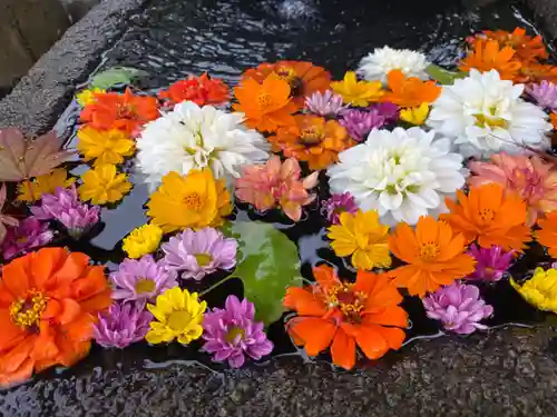 大鏑神社の手水