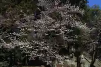 田村神社の自然