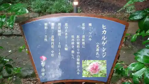 宇治上神社の歴史