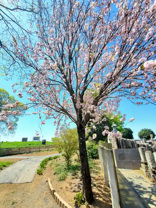 満福寺(栃木県)