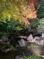 圓徳院(京都府)