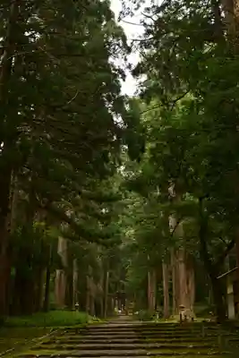 平泉寺白山神社(福井県)