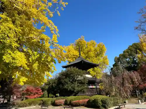 鑁阿寺(栃木県)
