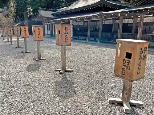 小國神社のおみくじ