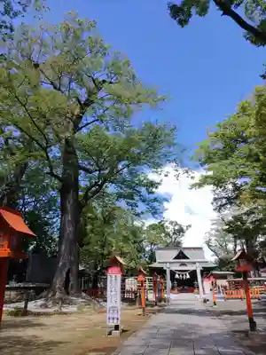 上野総社神社(群馬県)