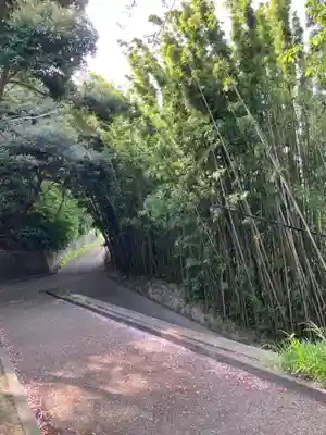 愛宕神社の周辺