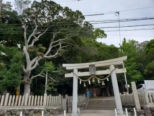 瑞丘八幡神社の鳥居