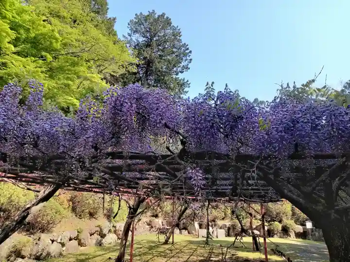 石山寺(滋賀県)