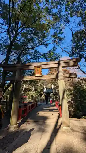 武蔵一宮氷川神社の鳥居