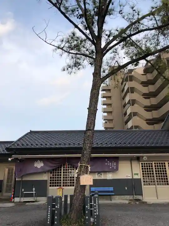 別小江神社の自然