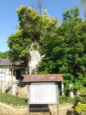 伝真院東光寺(茨城県)