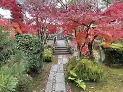 伊勢の国 四天王寺の自然