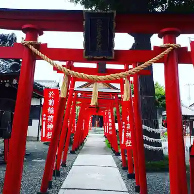 於菊稲荷神社の鳥居