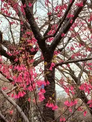 靖國神社(東京都)