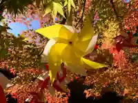 滑川神社 - 仕事と子どもの守り神の七五三参