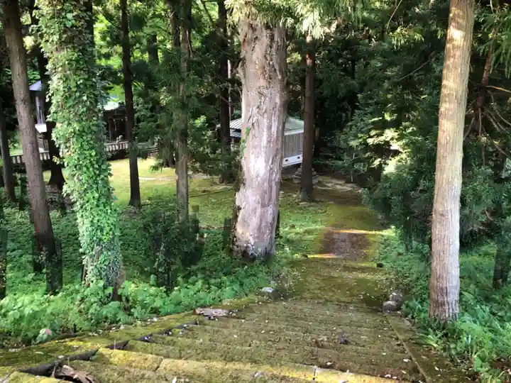 山神社の周辺