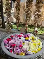 埼玉厄除け開運大師・龍泉寺(切り絵御朱印発祥の寺)の{uncategorized: "未分類", other: "その他", undefined: "問題あり", building: "その他建物", grave: "お墓", sacred_gate: "鳥居", guardian: "狛犬", statue: "像", buddha: "仏像", history: "歴史", nature: "自然", garden: "庭園", animal: "動物", pagoda: "塔", temizu: "手水舎", mountain_gate: "山門・神門", sanctuary: "本殿・本堂", subordinate: "末社・摂社", art: "芸術", scenery: "景色", jizo: "地蔵", ema: "絵馬", goshuin: "御朱印", omikuji: "おみくじ", items: "授与品その他", amulet: "お守り", goshuincho: "御朱印帳", eats: "食事", festival: "お祭り", votive_dance: "神楽", shichigosan: "七五三参", wedding: "結婚式", experience: "体験その他", initially: "初詣", around: "周辺", anti_infection: "感染症対策"}