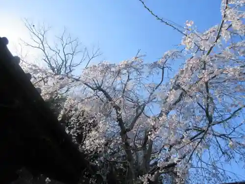 安國論寺（安国論寺）の景色