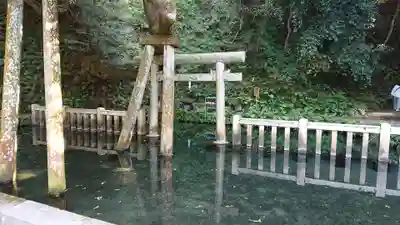 鹿島神宮のその他建物