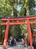 箱根神社(神奈川県)