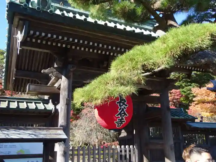 長谷寺の山門・神門