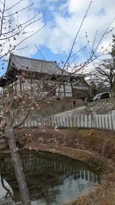 くろ谷 金戒光明寺(京都府)