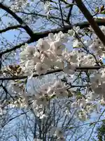 鷲宮神社の自然