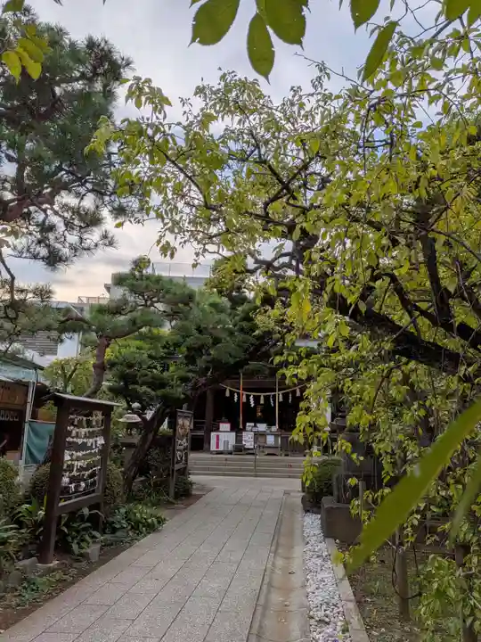 鳩森八幡神社の自然