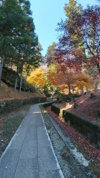 妙義神社(群馬県)