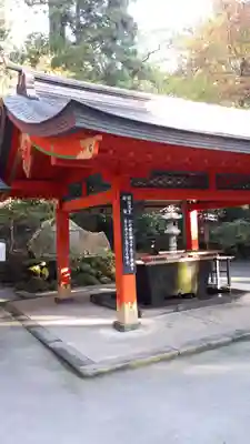 箱根神社の手水舎