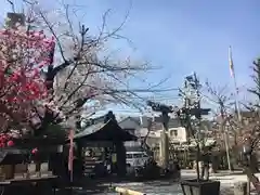 素盞雄神社の鳥居