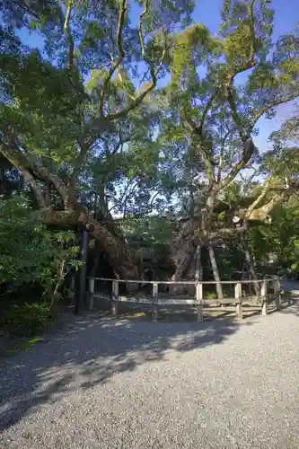 伊勢神宮外宮（豊受大神宮）の庭園